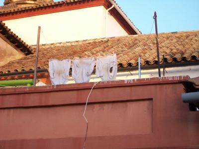20080722194058-calzoncillos-cagaos.jpg